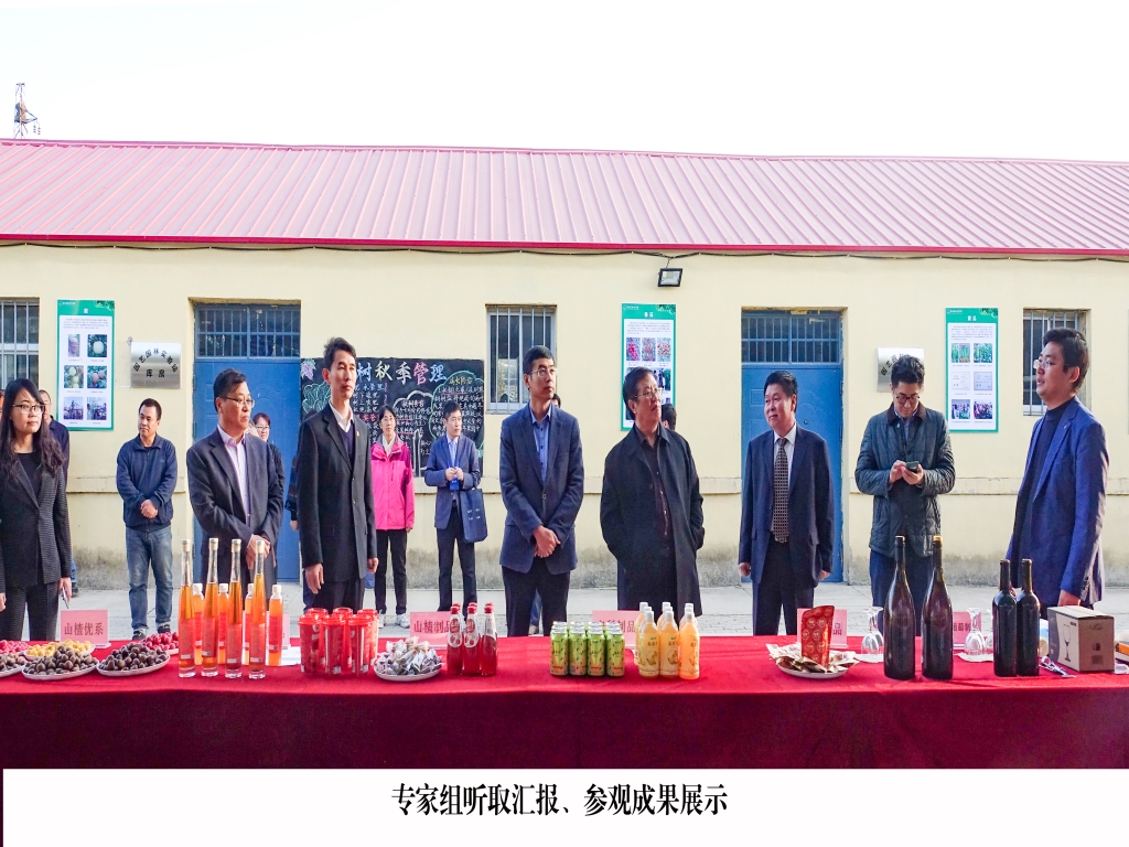专家1 专家1